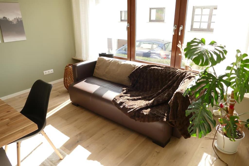 Momberg-Lodge Oberthal Εξωτερικό φωτογραφία
